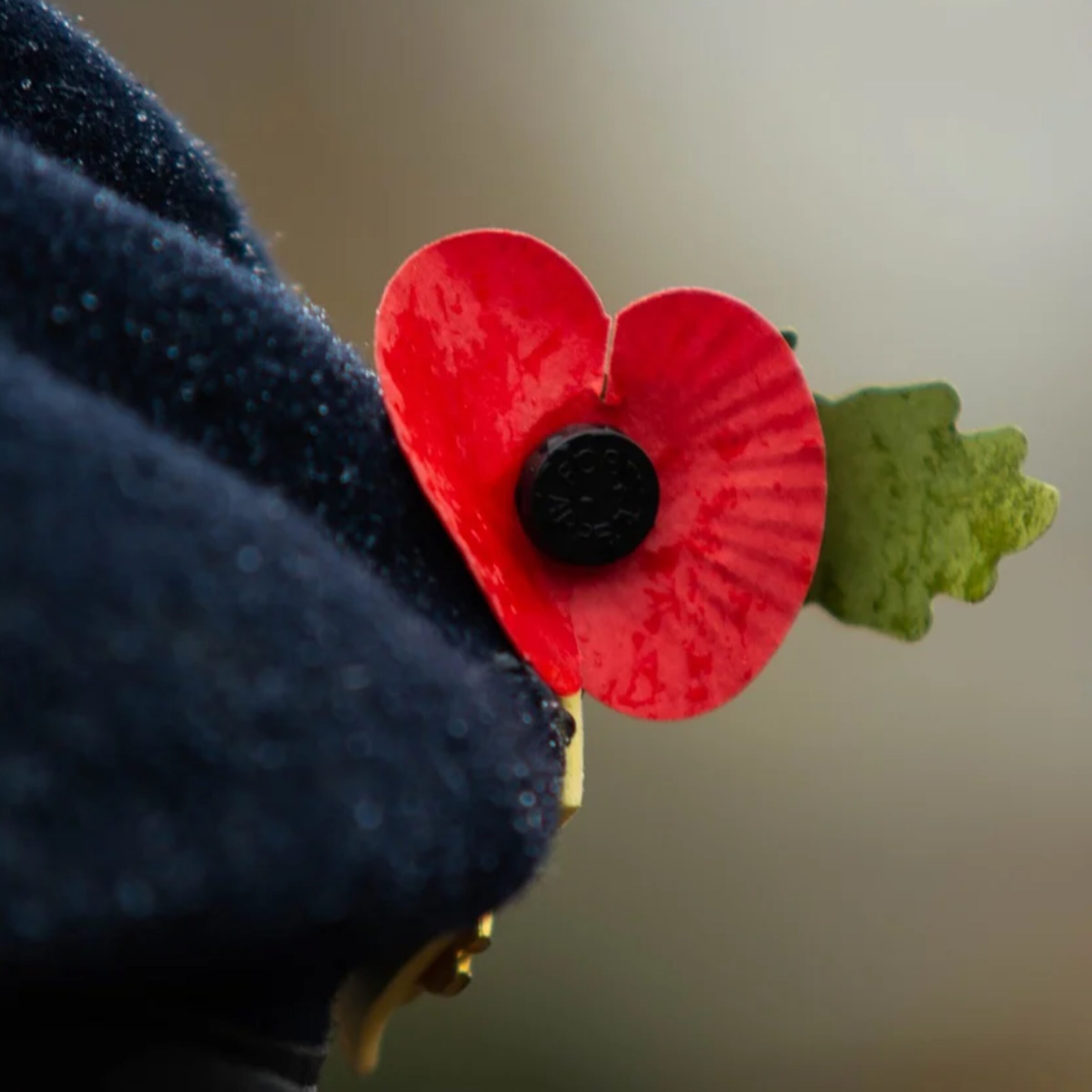 Armistice Day 06 11 20