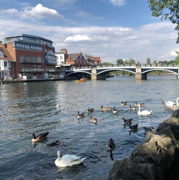 The River Thames