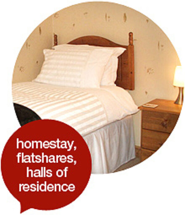 Homestay flatshares