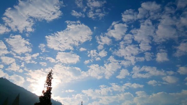Weather